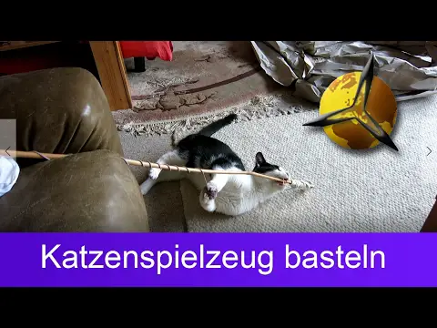 Katzenspielzeug selber basteln / bauen