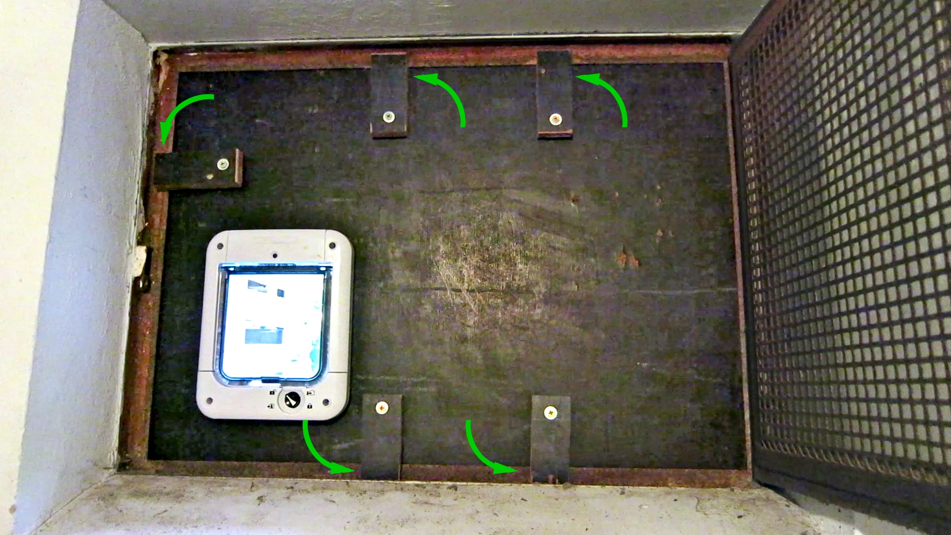 Katzenklappe in ein Kellerfenster einbauen | Katzenleben 7-9