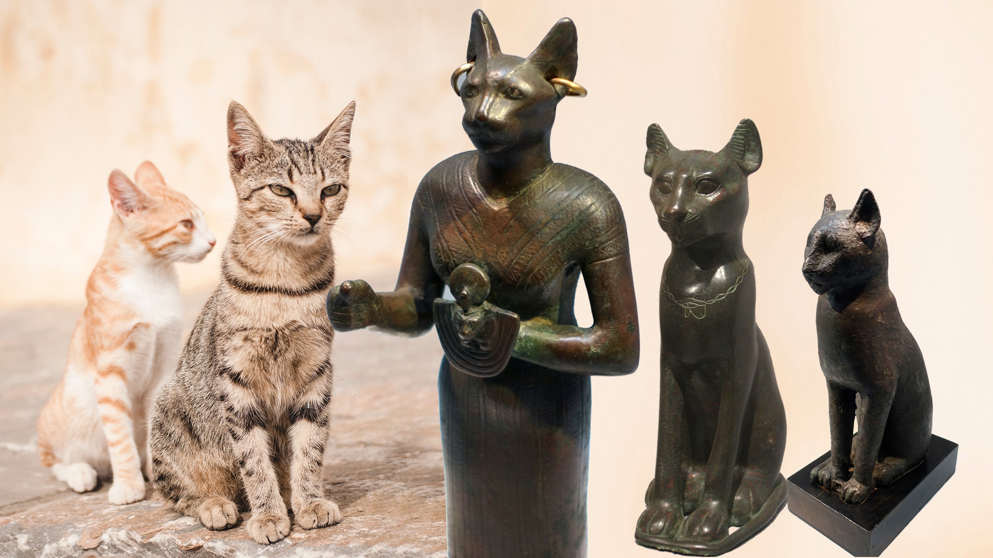 Zwei Katzen in der Sitzhaltung der Bastet